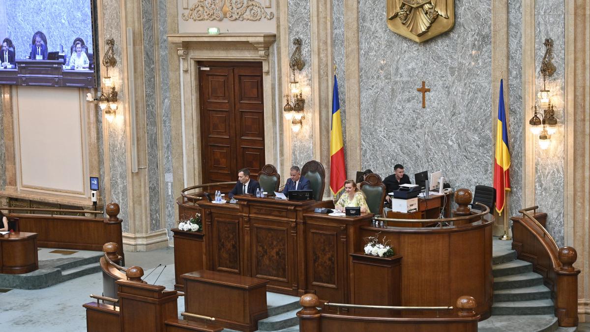 senatul dupa exemplul administratiei prezidentiale renunta la o parte din bugetul pe 2025