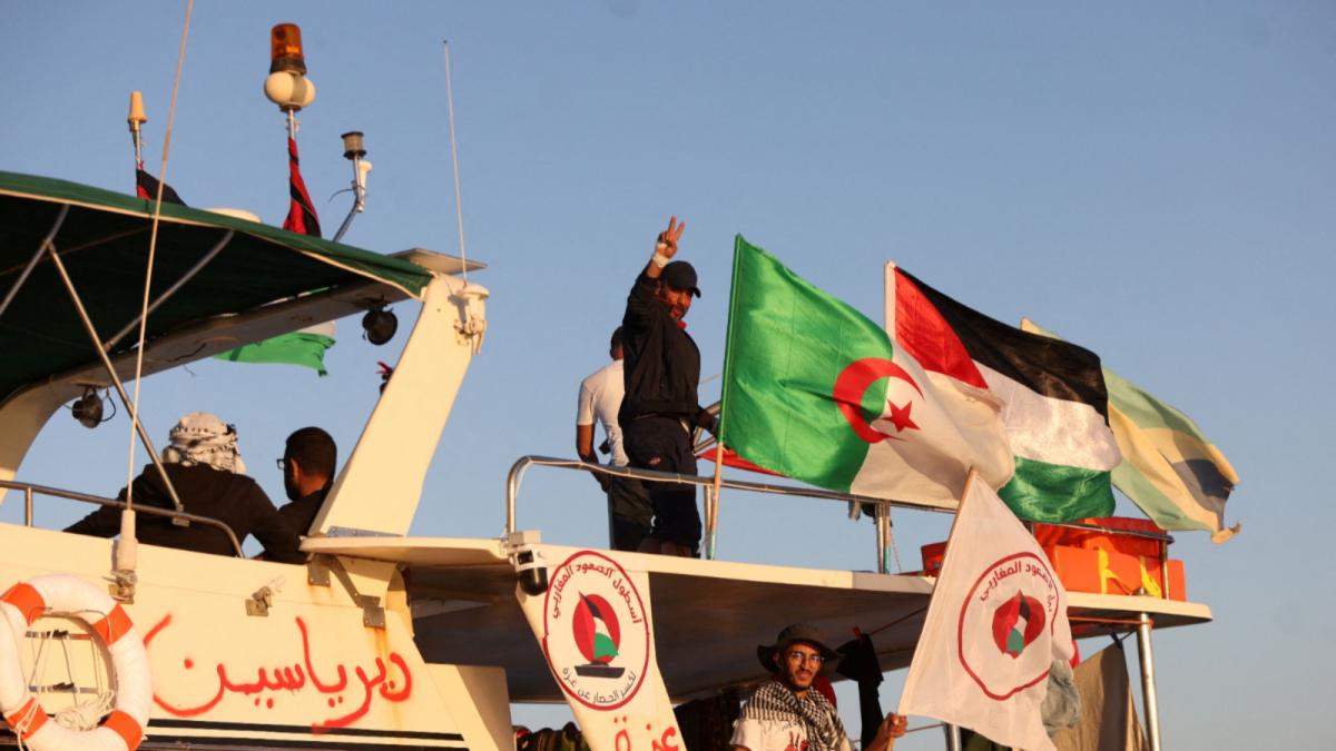 armata israeliana a interceptat flotila global sumud greta thunberg a fost retinuta proteste in mai multe orase din europa