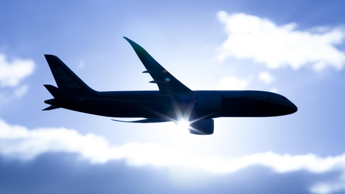 ceo ryanair multe companii aeriene vor da faliment in europa lunile urmatoare