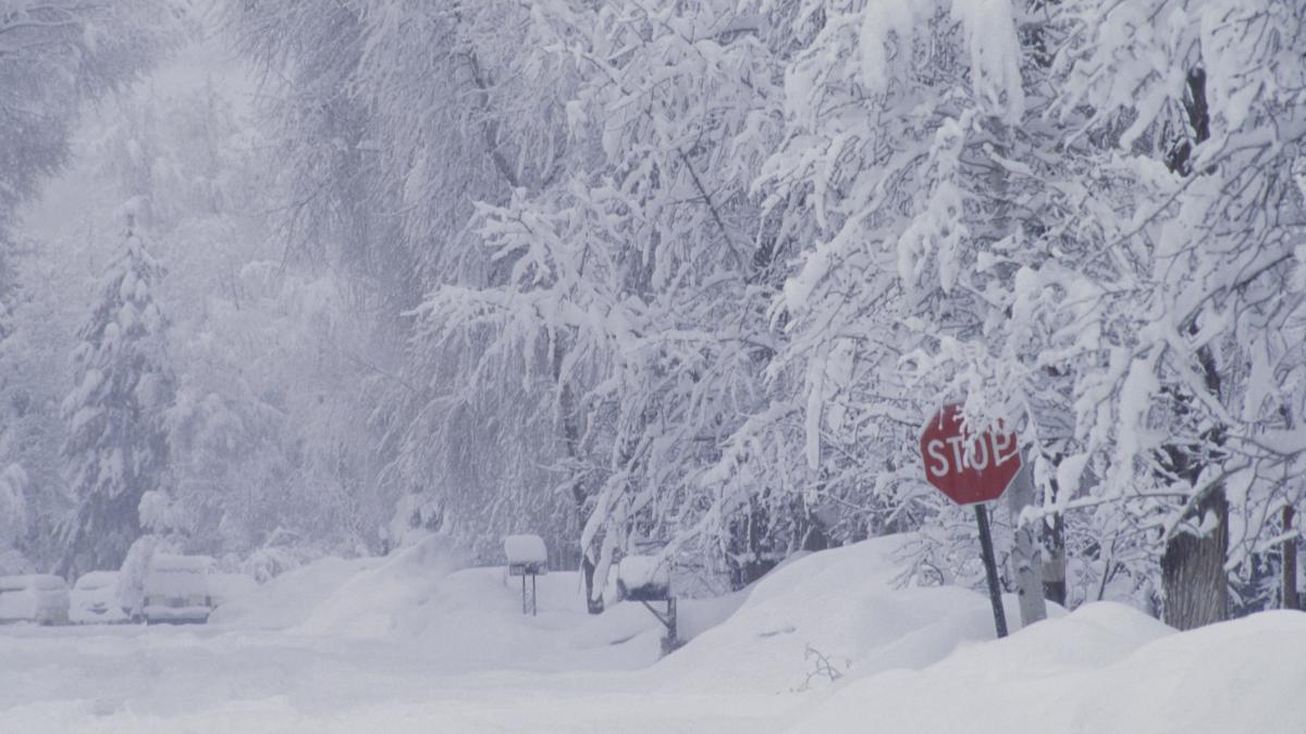 oamenii sunt uimiti de cat de mult a nins 2 octombrie 2025 imagini cu prima zapada din zona de munte