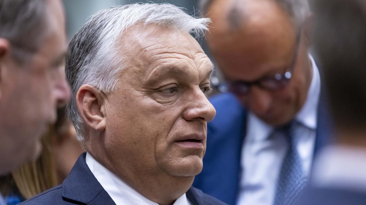 viktor orban sfidator la summitul de la copenhaga bruxelezii vor sa mearga la razboi europa trebuie sa negocieze pacea