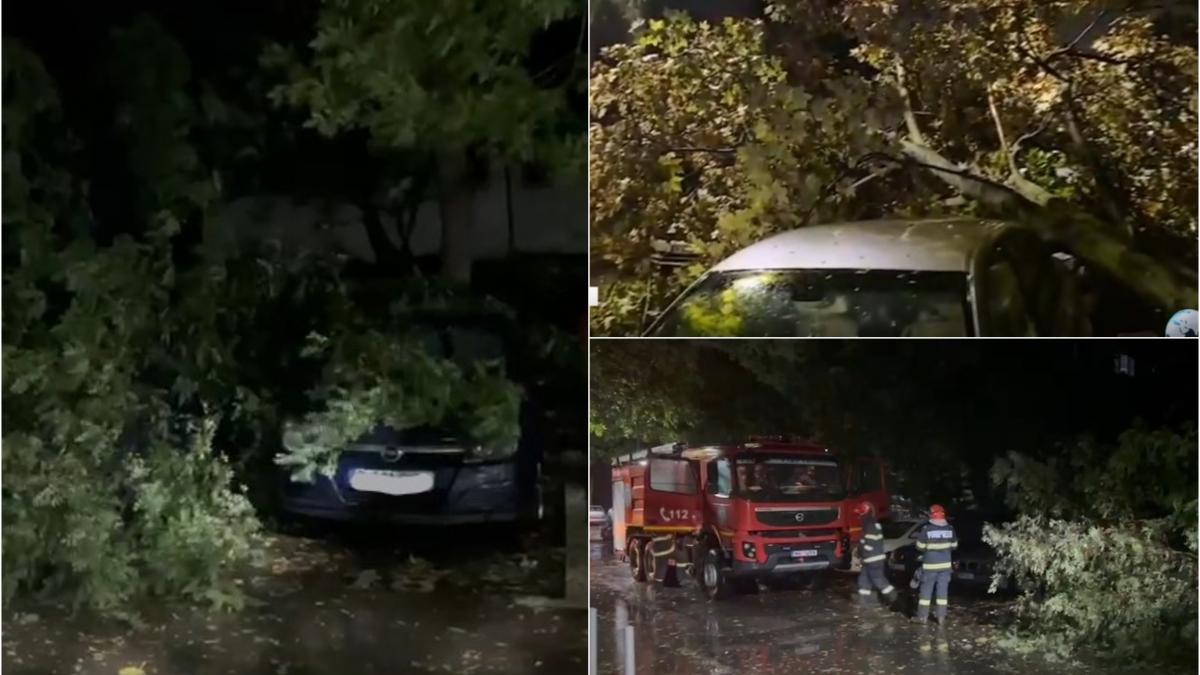 vremea extrema face ravagii in capitala zeci de copaci au fost doborati de vantul puternic si au cazut pe masini