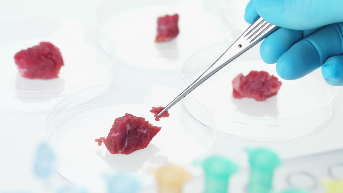 gadgetul care te ajuta sa iti cresti propria carne acasa nu este carne artificiala ci adevarata