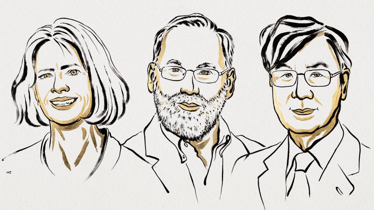 nobel 2025 mary e brunkow fred ramsdell si shimon sakaguchi au luat premiul pentru medicina