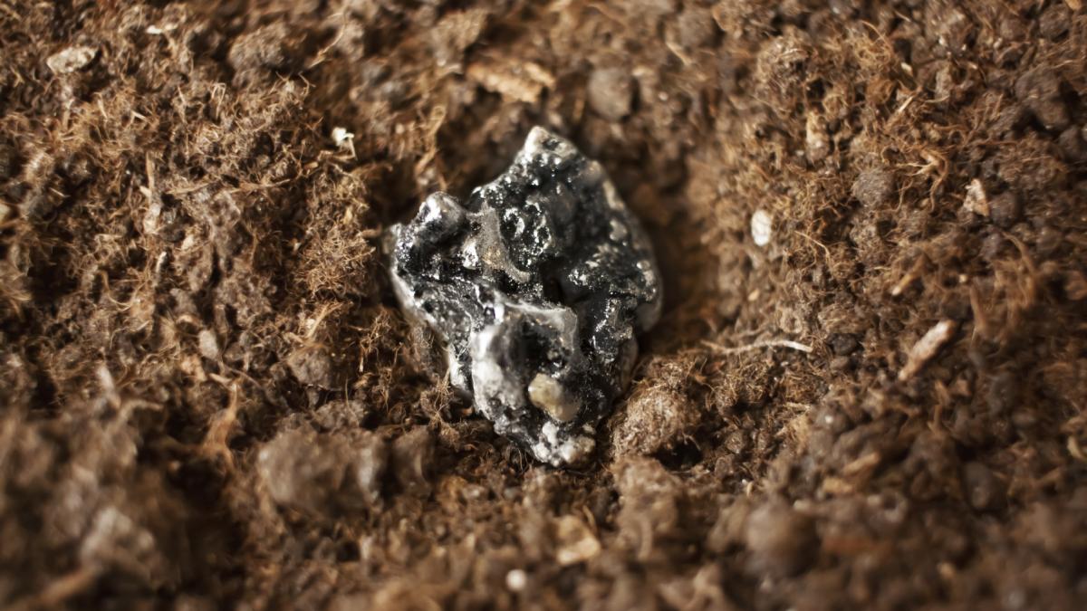 tarile care detin cele mai mari resurse de metale rare groenlanda si tanzania sunt in top 10 cine concureaza cu china