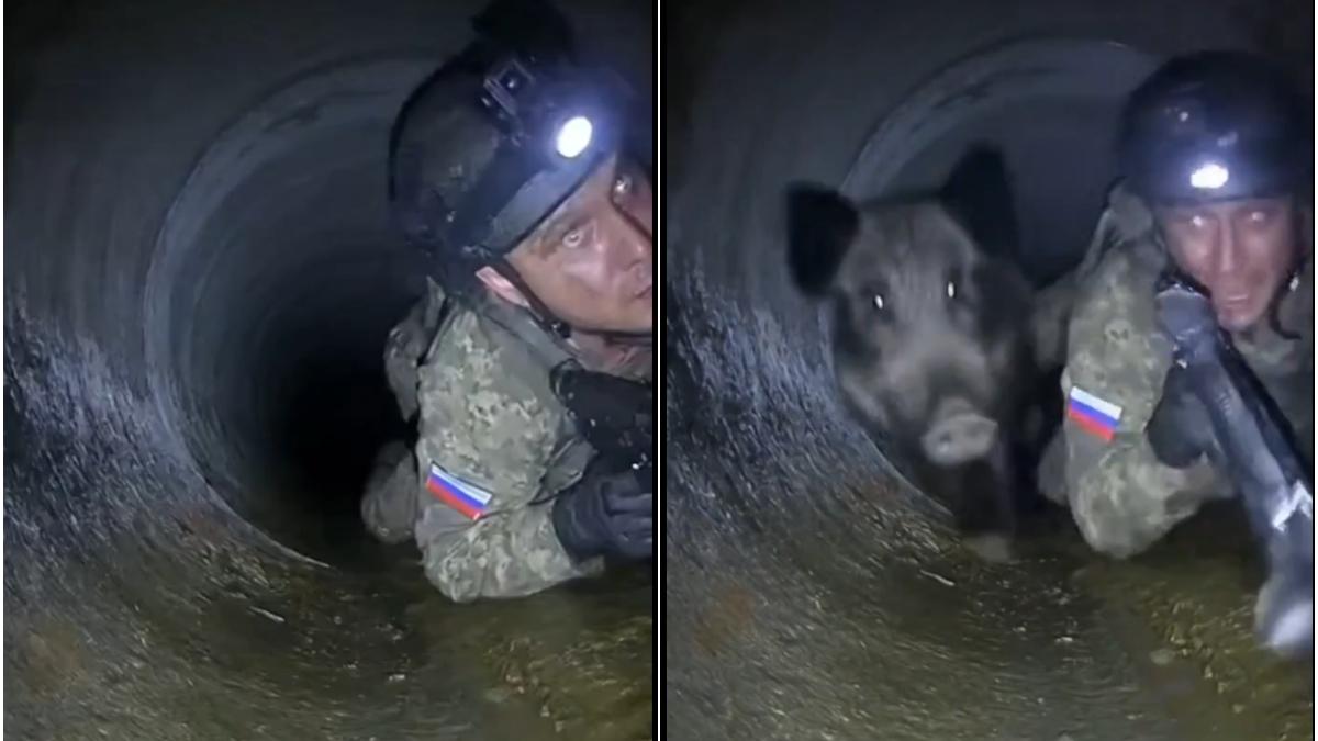 un rus si un mistret s au intalnit intr o conducta imagini virale cu soldatul care se sperie asa de tare incat scapa arma