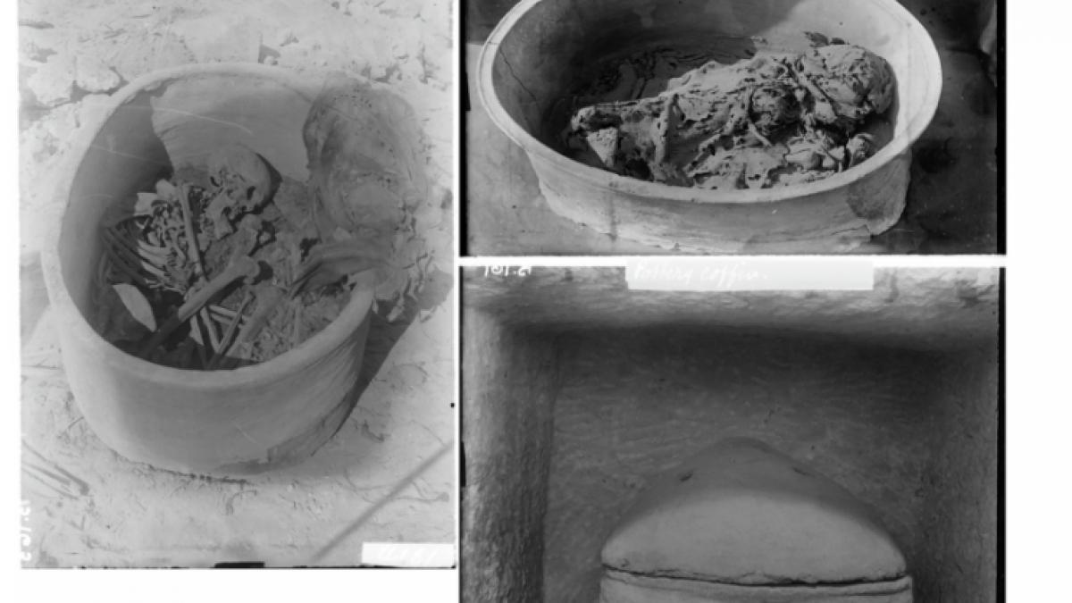 adn ul extras de la un schelet din egiptul antic este un amestec genetic din doua lumi diferite