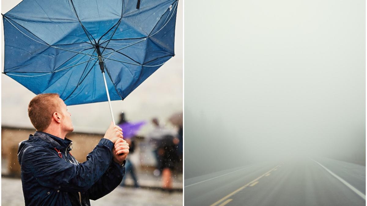 avertizare imediata de la nm cod galben de vant si ceata in mai multe judete lista localitatilor vizate