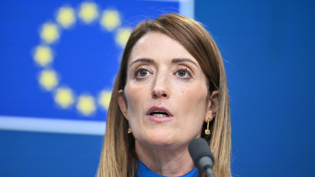 cererea parchetului pentru ridicarea imunitatii dianei sosoaca a ajuns la parlamentul european