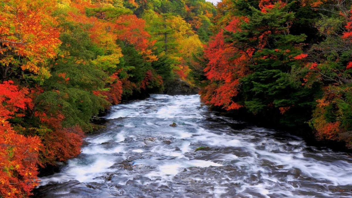 cod portocaliu de inundatii pe raurile topolog si casimcea joi pana la ora 24 00