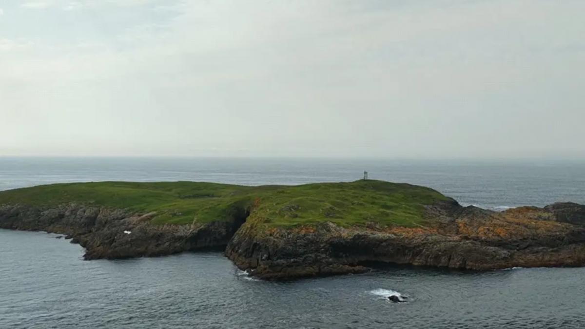 o insula scotiana foarte pitoreasca tocmai a fost la vanzare si costa cat un apartament are 28 de hectare si propria colonie de foci