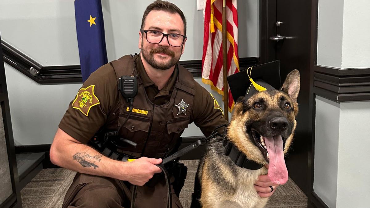 un caine politist a devenit erou dupa o ampla operatiune de cautare a doi copii care s au pierdut intr o padure uriasa