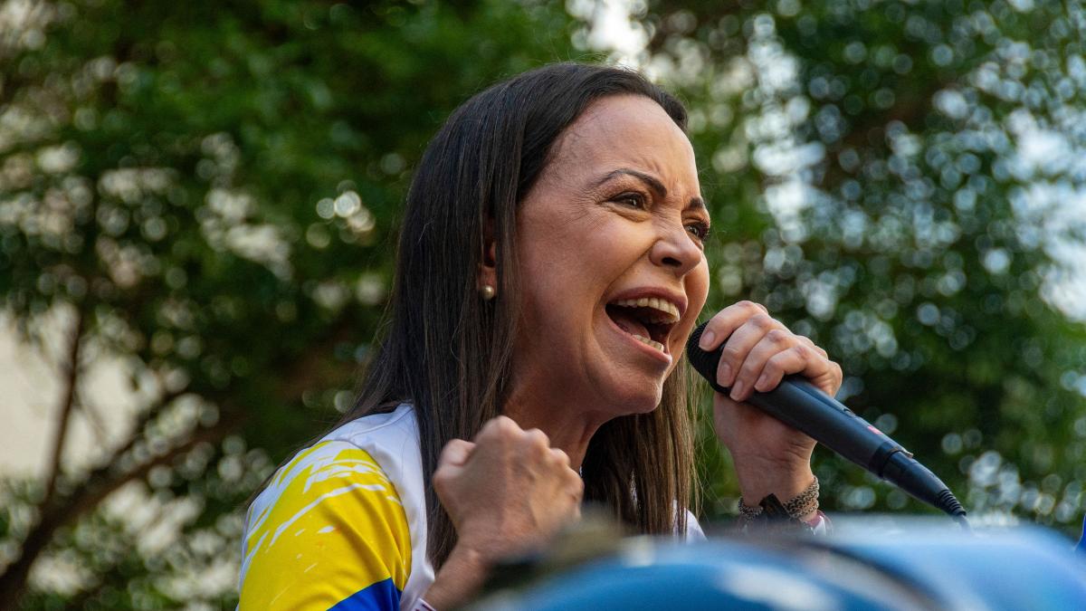 suspiciuni de blat la nobelul pentru pace dupa pariuri ce mizau brusc pe succesul mariei corina machado cu ore inainte de victorie