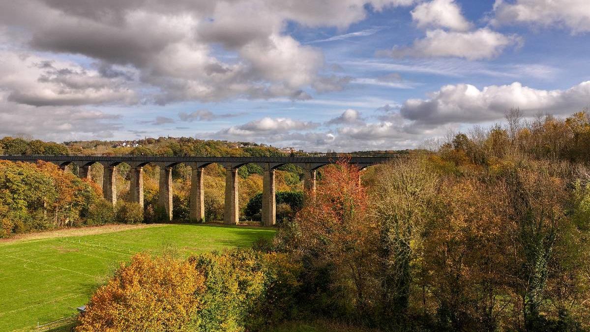 ce este mast year fenomenul apare doar o data la patru ani iar acum e mai spectaculos ca niciodata in marea britanie