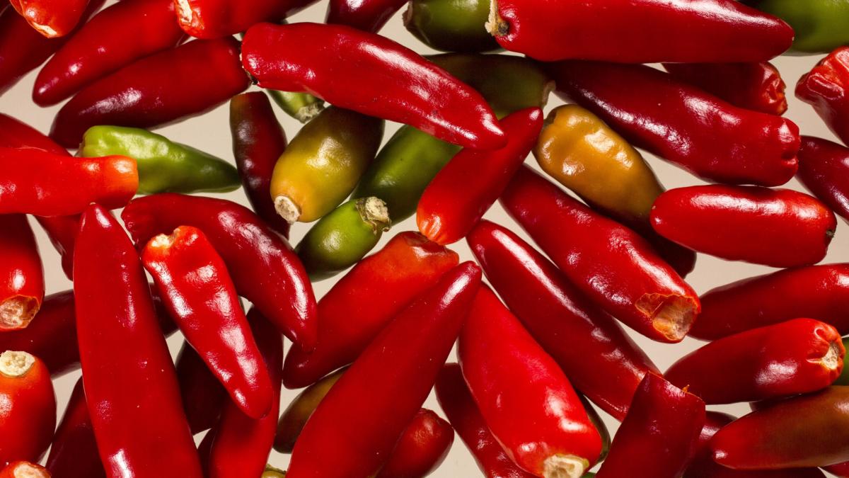 cei mai iuti ardei din lume se cultiva la buzau sunt de 400 de ori mai puternici decat cei obisnuiti