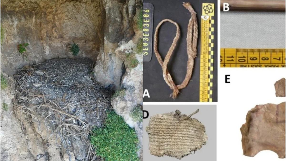 cercetatorii au gasit artefacte vechi de 600 de ani in cuiburi de vulturi din spania