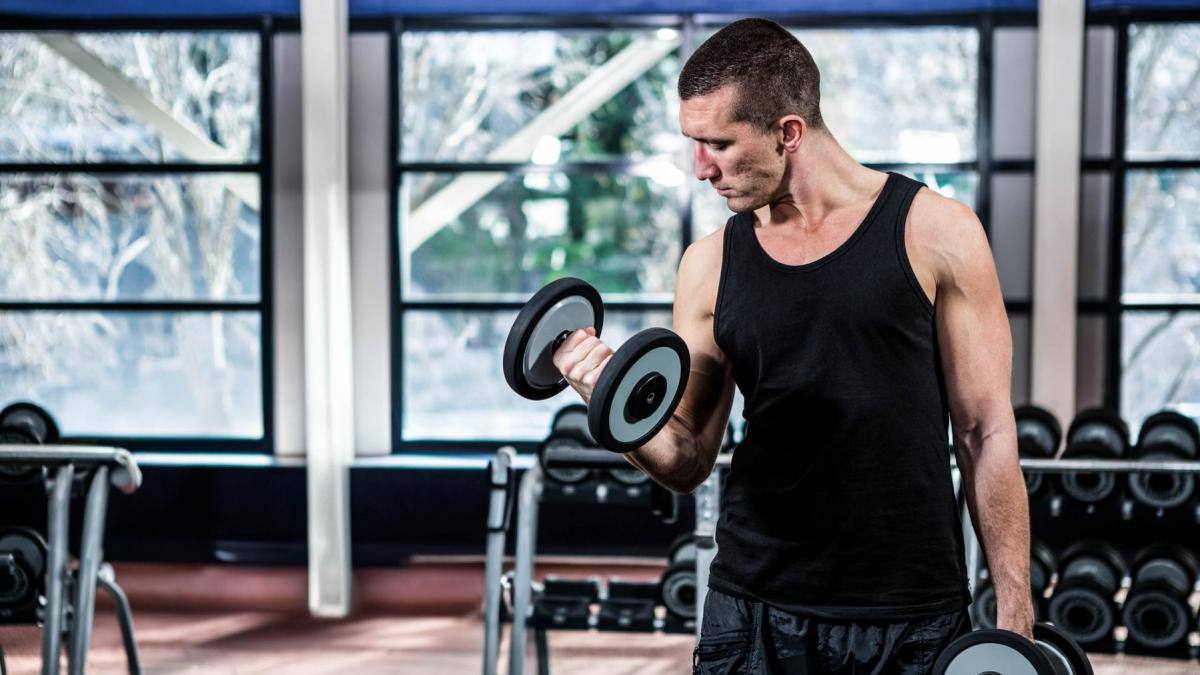 care este cel mai puternic muschi din corp aceasta intrebare nu are un singur raspuns totul depinde de cum definim forta