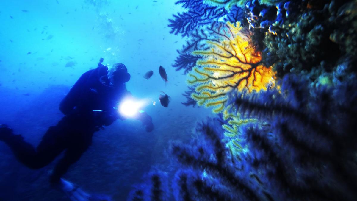 comoara de la 500 de metri adancime un submarin a descoperit in golful napoli o bogatie naturala nepretuita