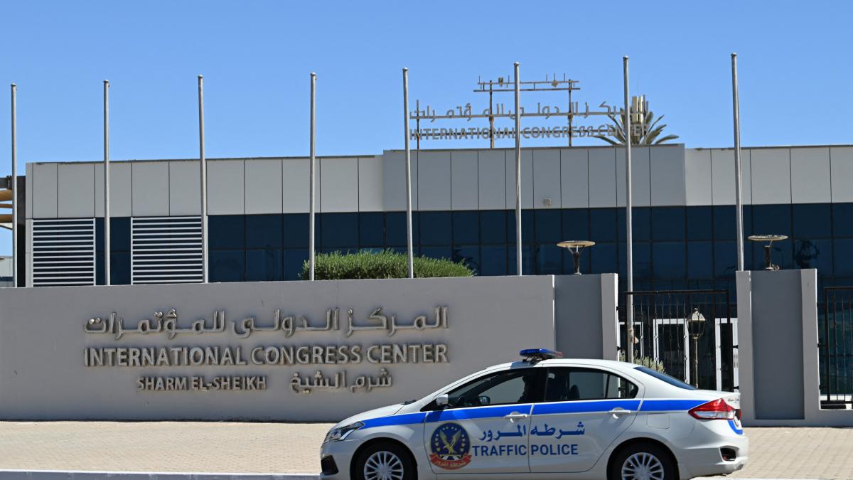 trei diplomati din qatar au murit intr un accident rutier in egipt erau asteptati la summitul gaza