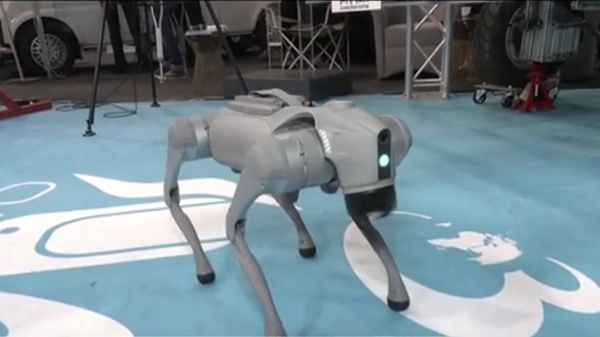 robotul caine de la universitatea politehnica vedeta smart urban mobility