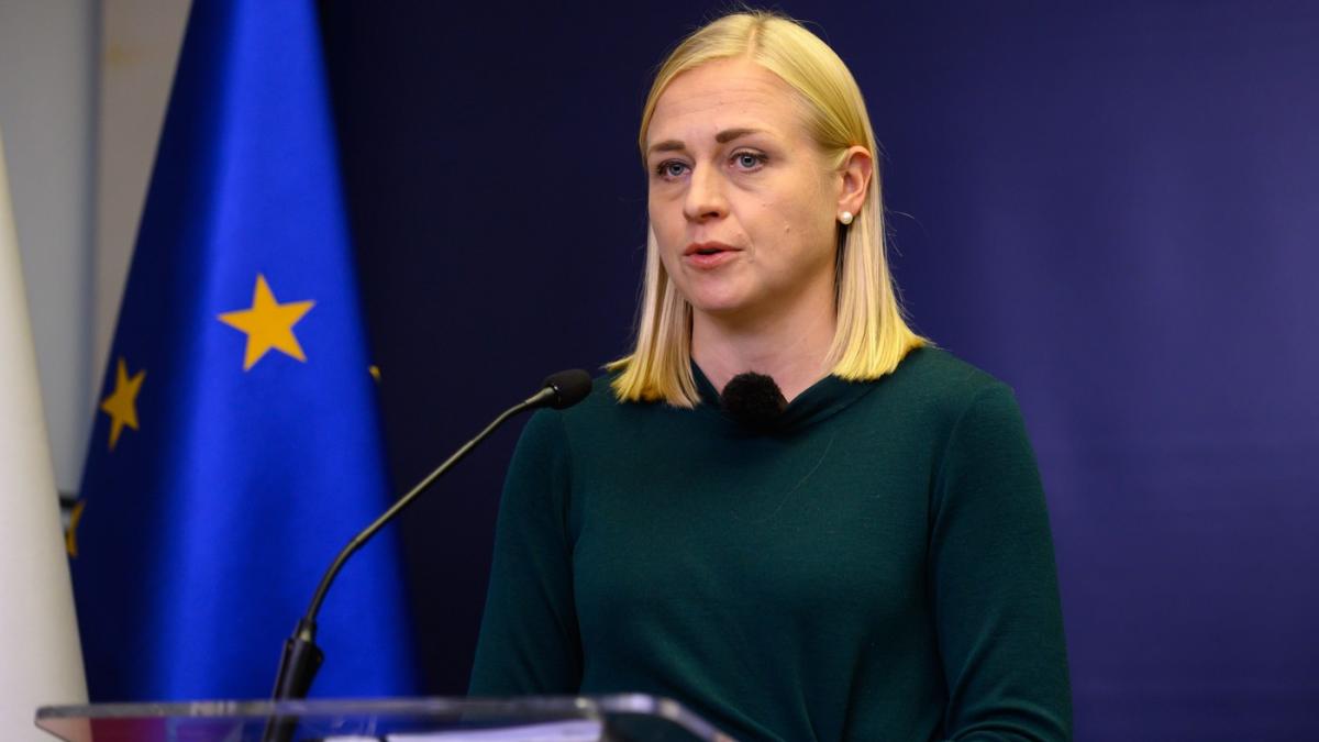 ministra finlandeza de externe a fost amendata in georgia pentru blocarea drumului dupa ce a sprijinit protestatarii