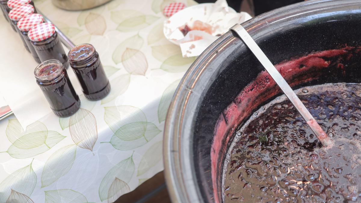 seful anaf revine cu precizari dupa scandalul gap ului tva la gem nu vom impozita autoconsumului populatiei