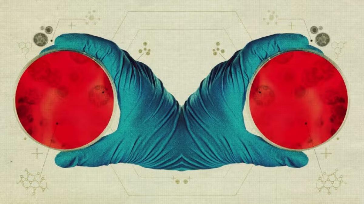 viata in oglinda cercetatorii trag un semnal de alarma despre asa numitele celule inversate care ar putea fi create in laborator