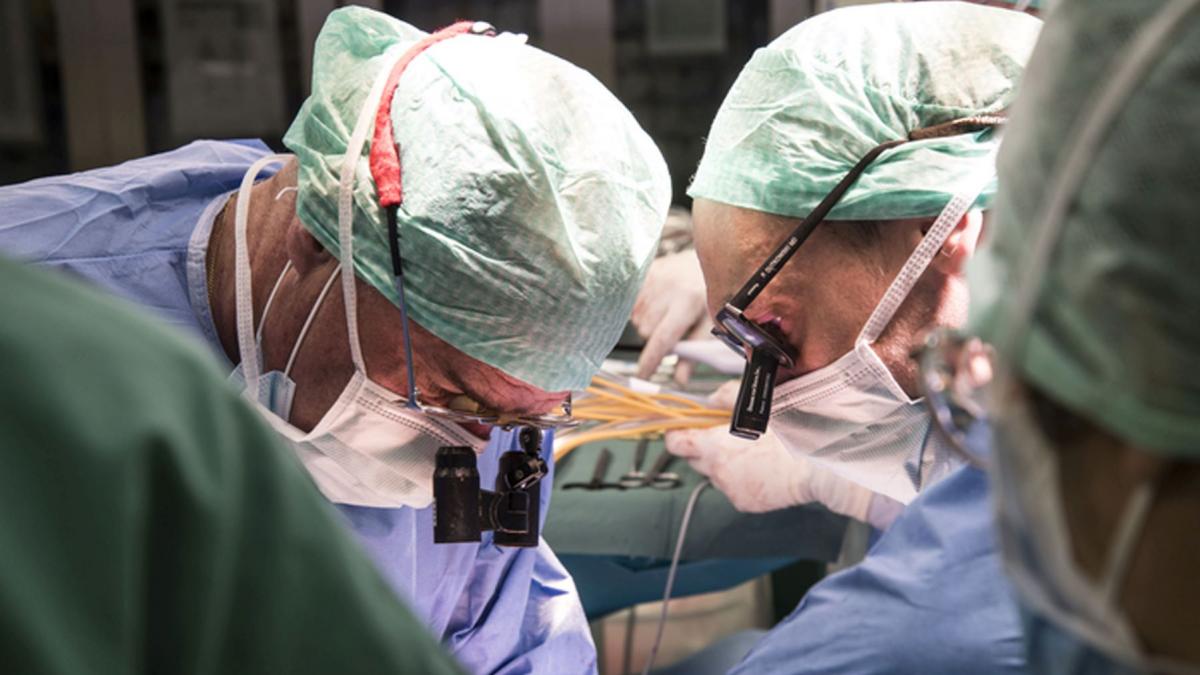 descoperire fara precedent rinichiul universal care se potriveste cu orice grupa sanguina