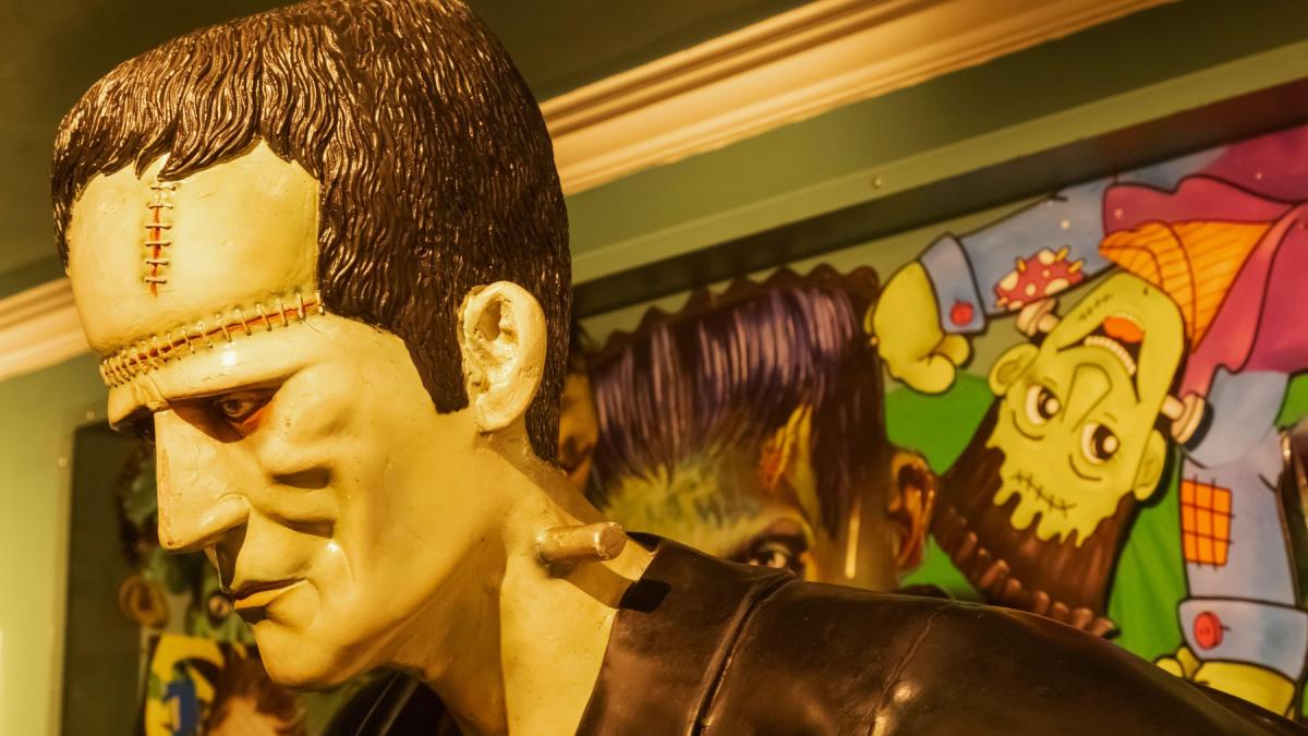 frankenstein de ce povestea de groaza veche de 200 de ani este inteleasa gresit ne identificam si cu frankenstein si cu creatura