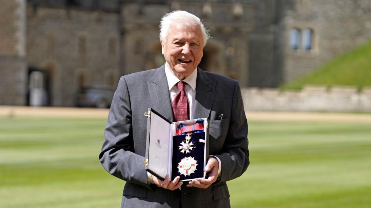 la 99 de ani david attenborough a devenit cel mai in varsta castigator al unui premiu emmy pentru un documentar pe netflix