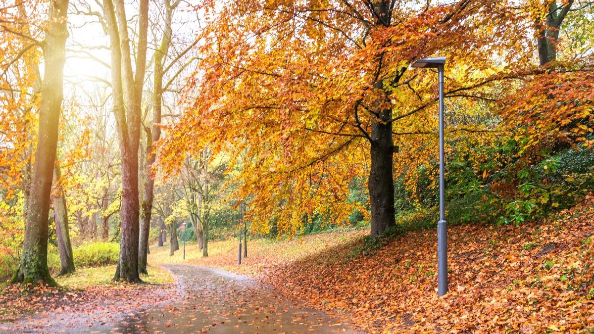 anm a actualizat prognoza meteo cum va fi vremea in urmatoarele doua saptamani