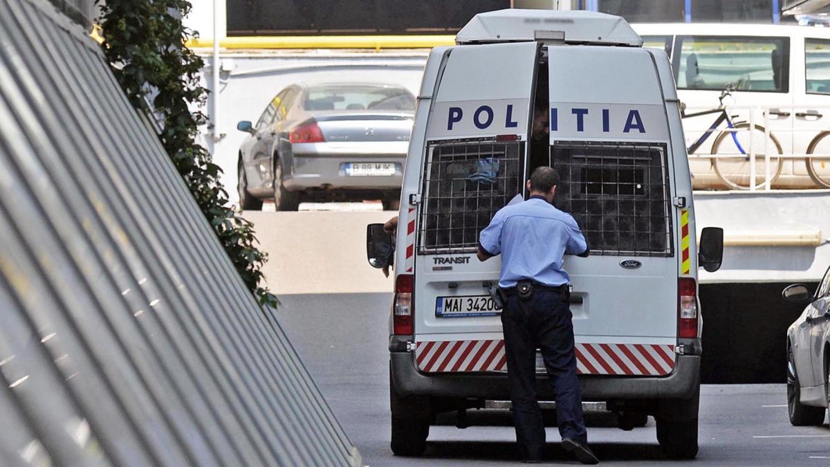 inca o femeie ucisa in propria casa in romania un tanar din arad si a injughiat mortal mama dupa o cearta in bucatarie