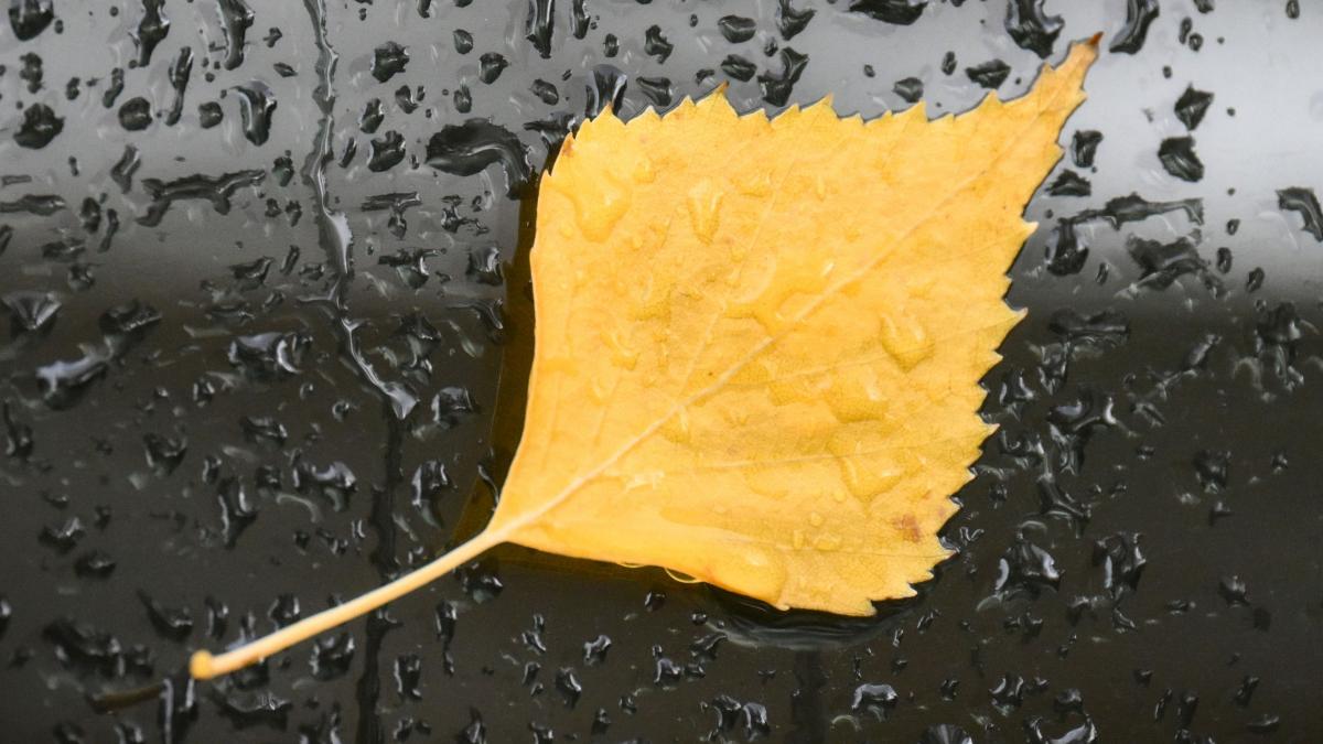 temperaturi aproape de inghet in unele zone din romania si ploi de marti prognoza meteo pana joi