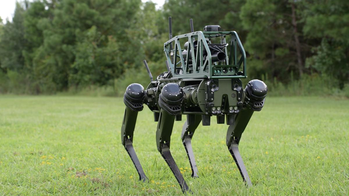a aparut cainele robot dotat cu lansator de grenade si alte arme letale de la distanta este gata de trimis in prima linie
