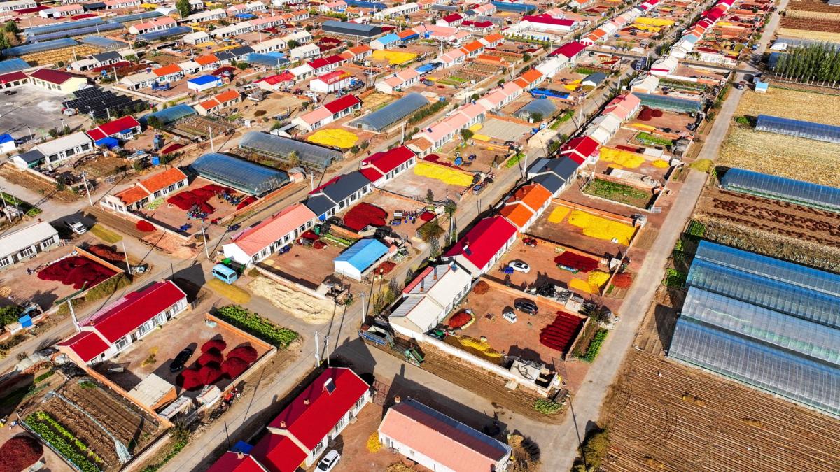 a inceput sezonul de recoltare a ardeilor iuti in china imagini spectaculoase din drona cu gramezile colorate de chili