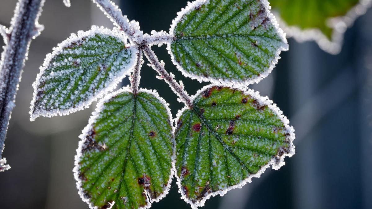cea mai rece zi de 21 octombrie din istorie cat au aratat termometrele la o statie meteo din harghita
