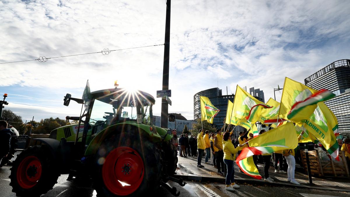 protest urias la strasbourg fata de taierea subventiilor pentru agricultura si acordul mercosur ce spun fermierii romani