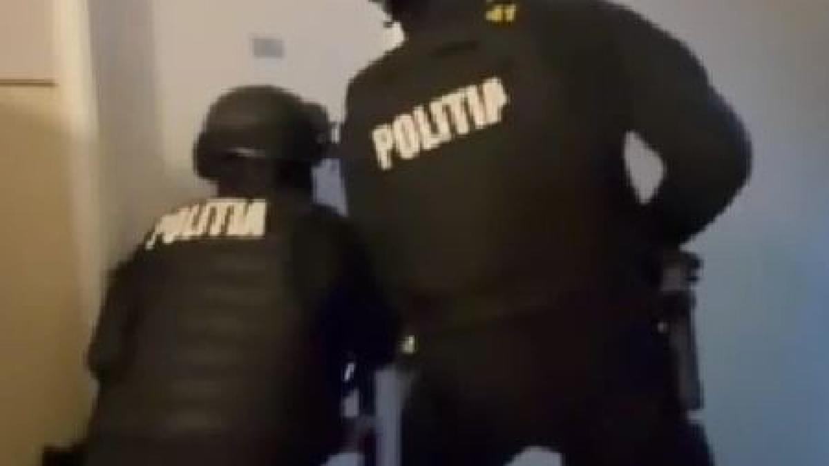 diicot a gasit peste 6 kilograme de canabis cocaina si sume importante de bani dupa perchezitii efectuate in ialomita