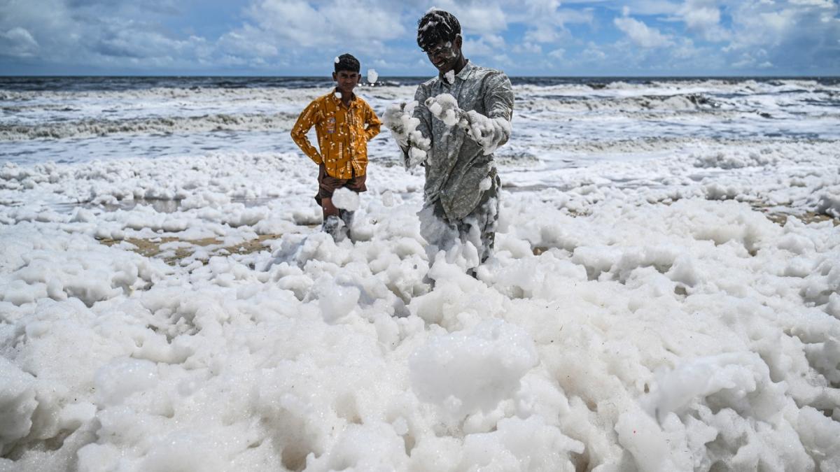 e incredibil cum pare zapada dar miroase chimic pericolul mortal din spatele unor imagini virale de pe o plaja