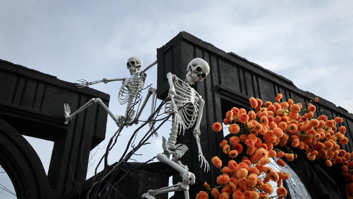 incepe west side hallo fest 2025 program si bilete