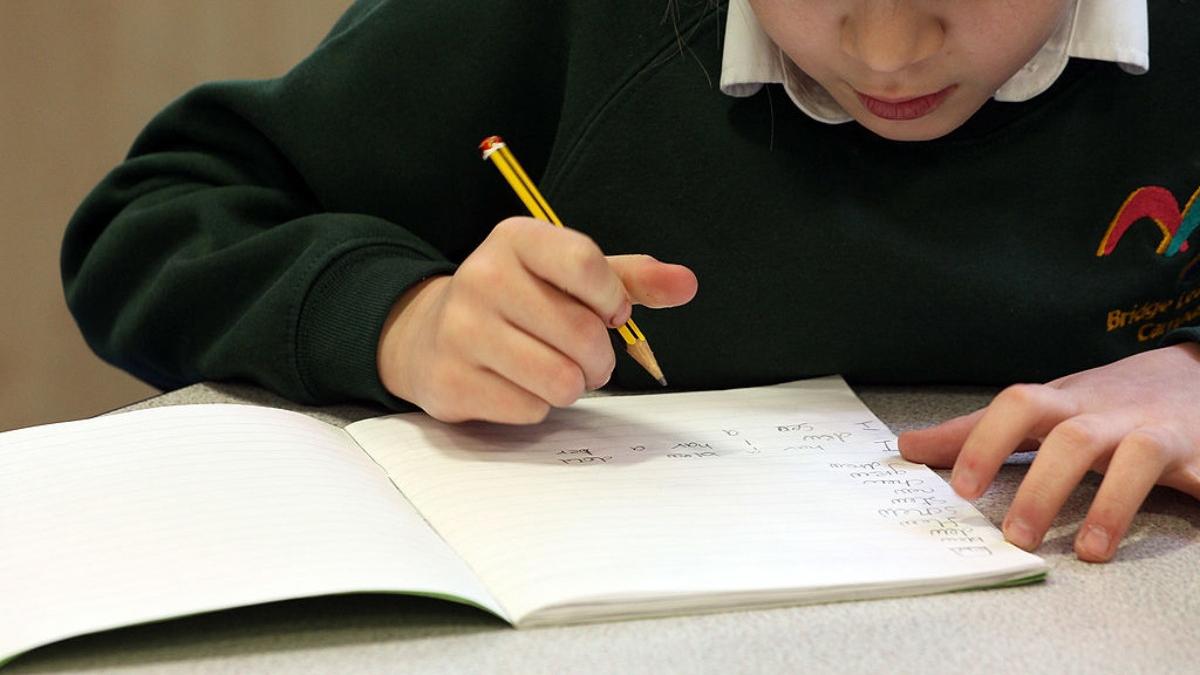 o familie cauta tutore pentru a transforma copilul de un an intr un gentleman englez parintii ofera o suma uriasa