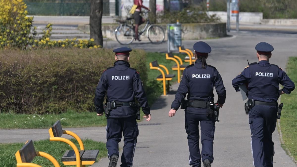 o pensionara de 80 de ani a primit o amendata uriasa dupa ce a lasat praz si struguri in strada la viena am vrut sa donez mancare
