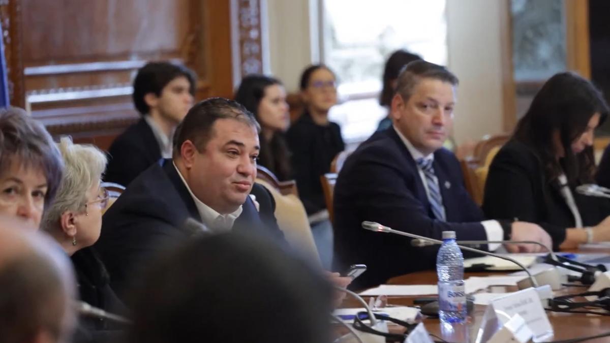 Circ în Parlament, la audierea șefilor ANRE, ANCOM și ASF. „Cum de angajați doar doamne sexy?”/„Vă scot microfonul din priză”