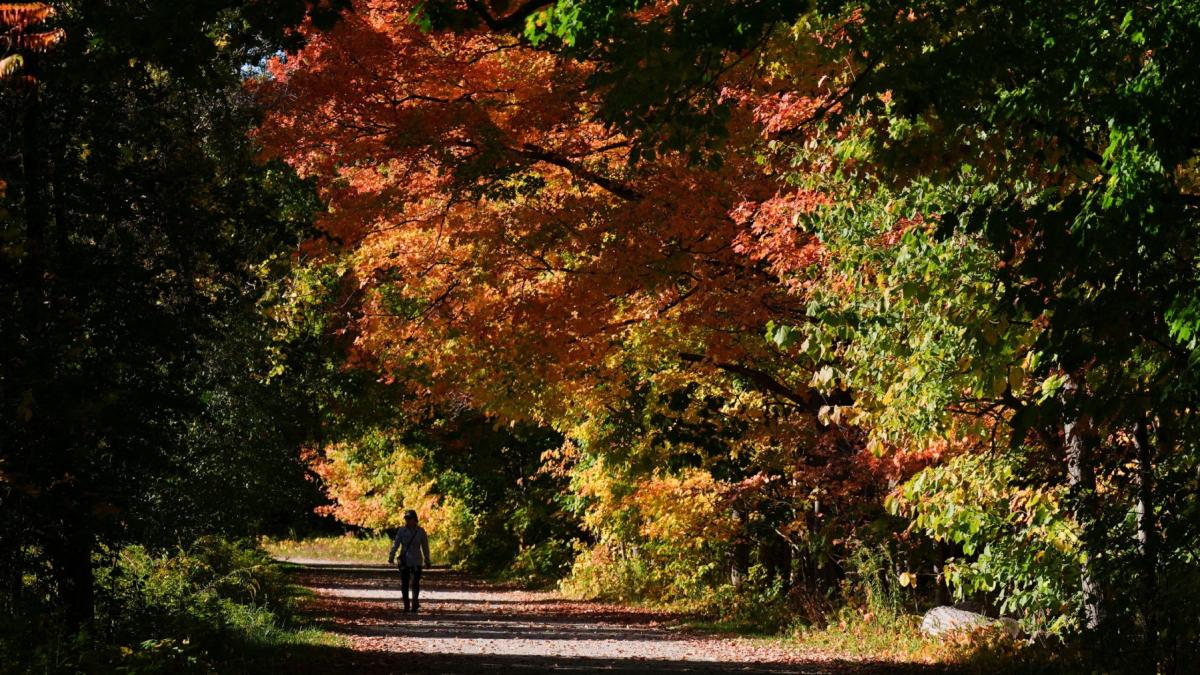 temperaturile cresc neobisnuit de mult din acest weekend sefa anm ne apropiem de praguri de vara la final de octombrie