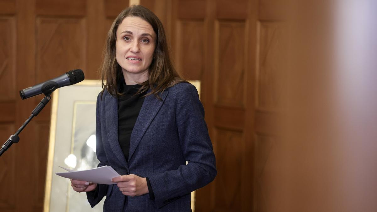 Oana Ţoiu anunţă suplimentarea ajutorului NATO pentru România: Principalul focus este în zona de apărare aeriană