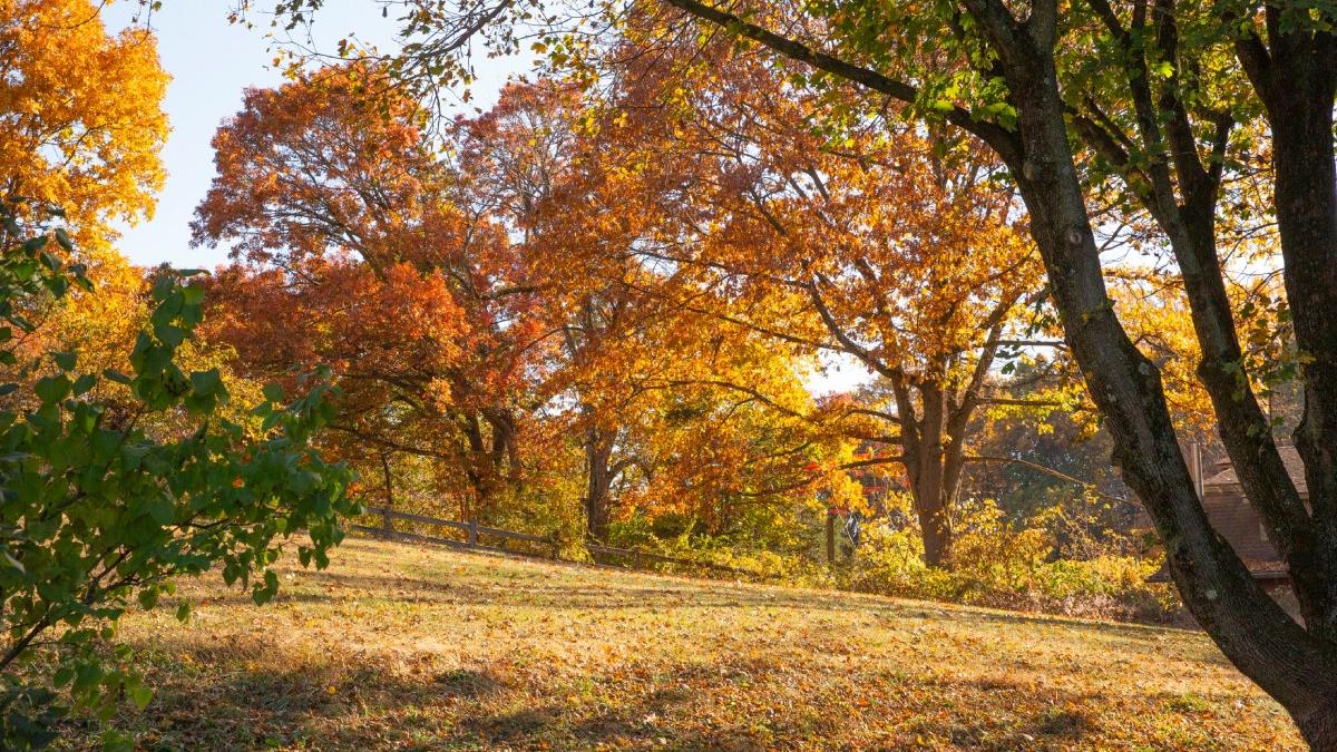 ANM a actualizat prognoza meteo. Cum va fi vremea în următoarele zile