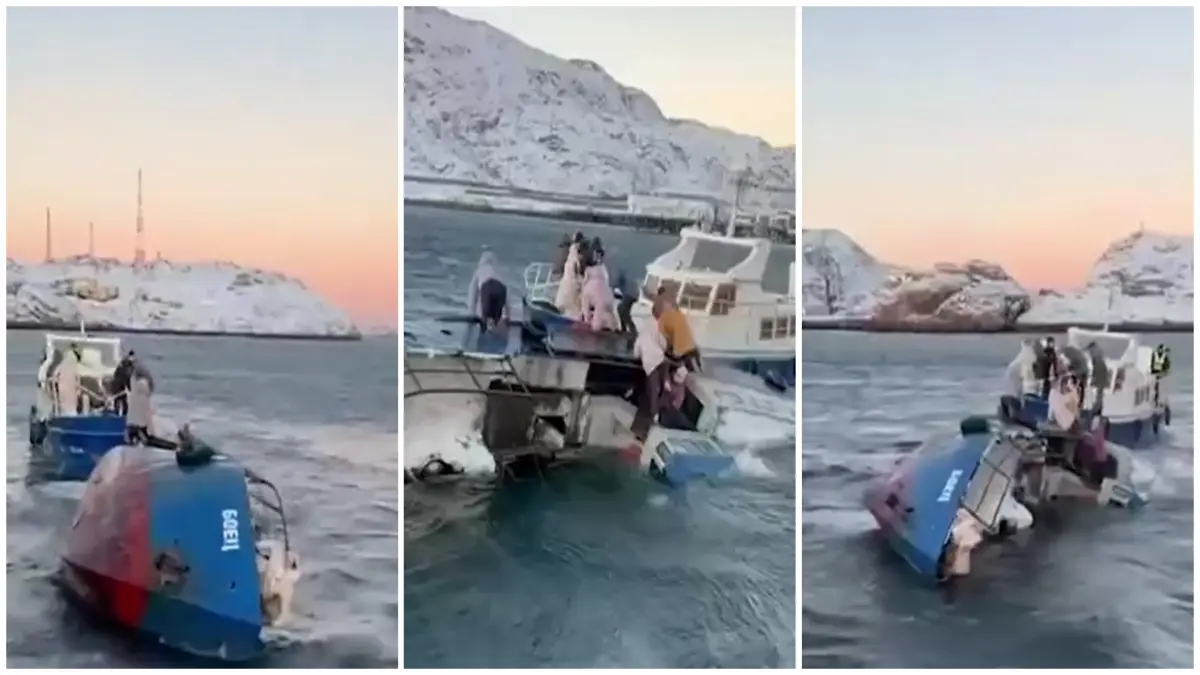 au plecat cu barca sa vada balenele in ciuda unei avertizari de furtuna clipe dramatice la bordul unei ambarcatiuni in marea barents