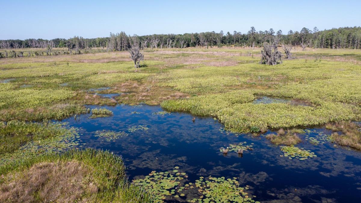 Cel puțin 24 de cadavre au fost găsite în canalele unui oraș american. Se ia în calcul ipoteza unui criminal în serie