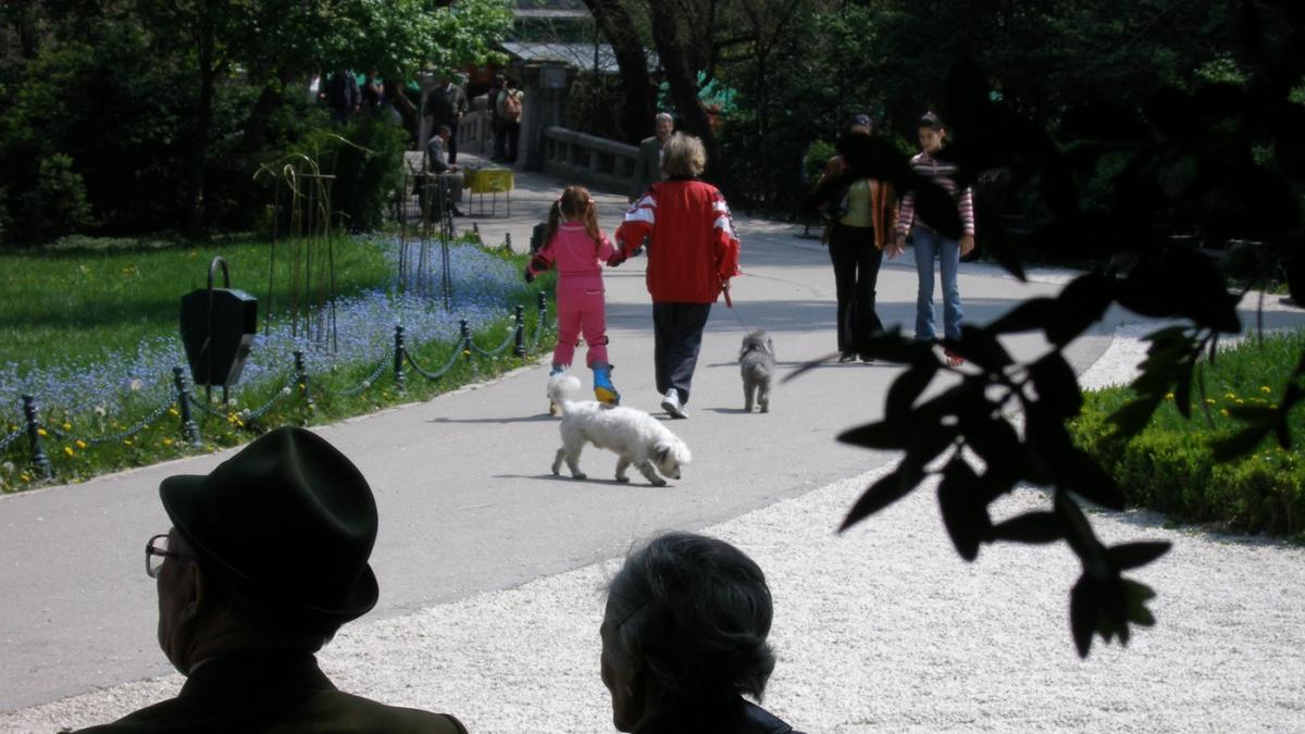 Drama părinților români plecați la muncă în străinătate: 80% vor să se întoarcă la copiii lor, dar spun că nu au unde să lucreze