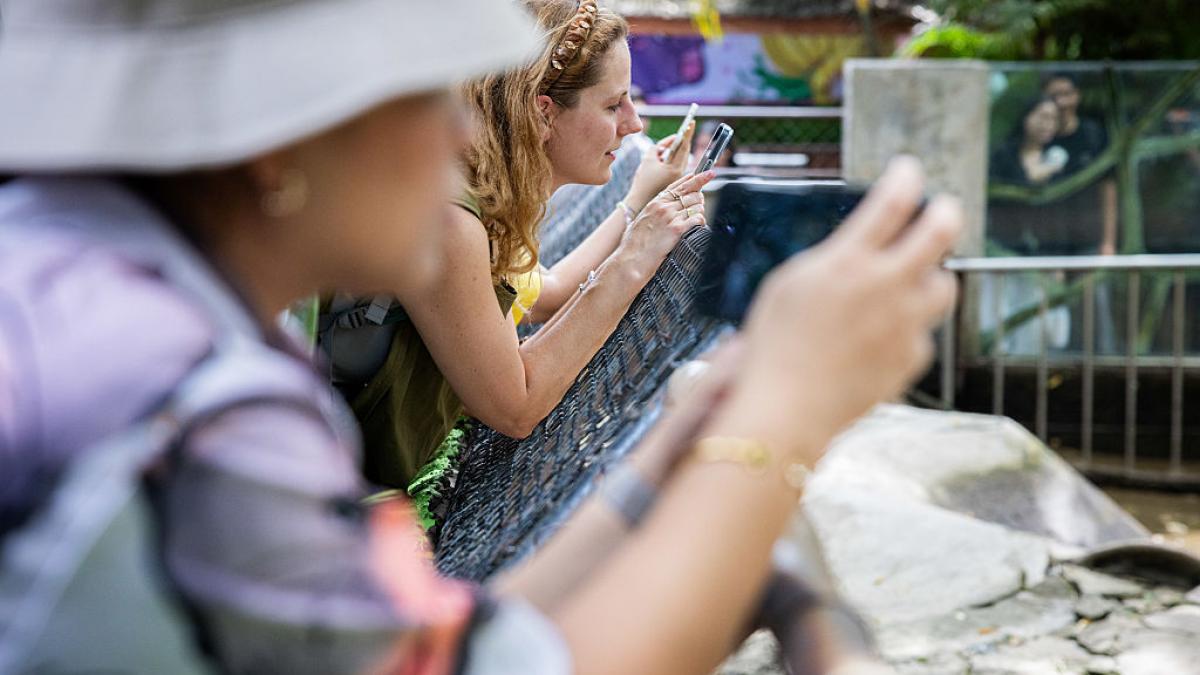 Țara care interzice influencerii fără diplome: „Creatorii de conținut vor avea nevoie de documente, nu doar de urmăritori”